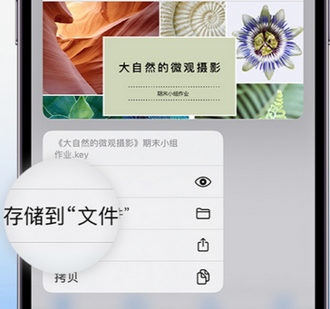 溆浦apple维修中心分享iPhone文件应用中存储和找到下载文件