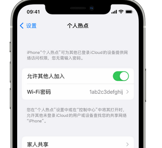 溆浦apple服务站点分享iPhone上个人热点丢失了怎么办