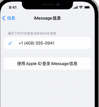 溆浦apple维修iPhone上无法正常发送iMessage信息 