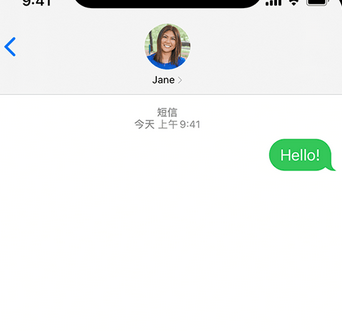 溆浦apple维修iPhone上无法正常发送iMessage信息