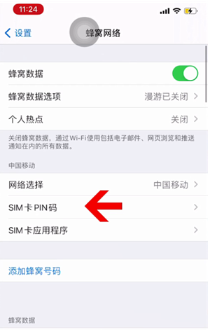 溆浦苹果14维修网分享如何给iPhone14的SIM卡设置密码 