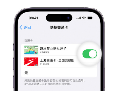 溆浦apple维修点分享iPhone上更换Apple Pay快捷交通卡手绘卡面 