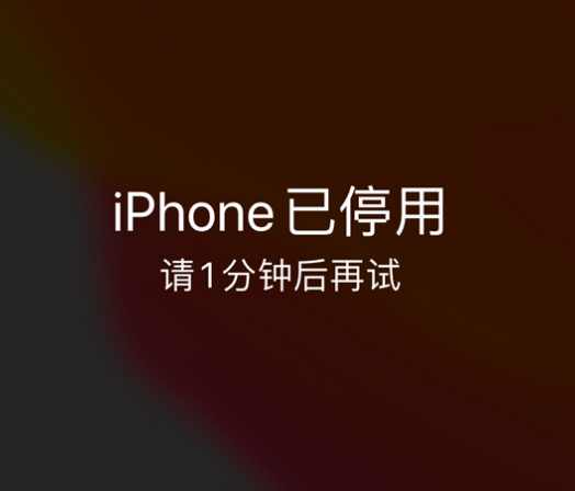 溆浦苹果手机维修分享:iPhone 显示“不可用”或“已停用”怎么办？还能保留数据吗？ 