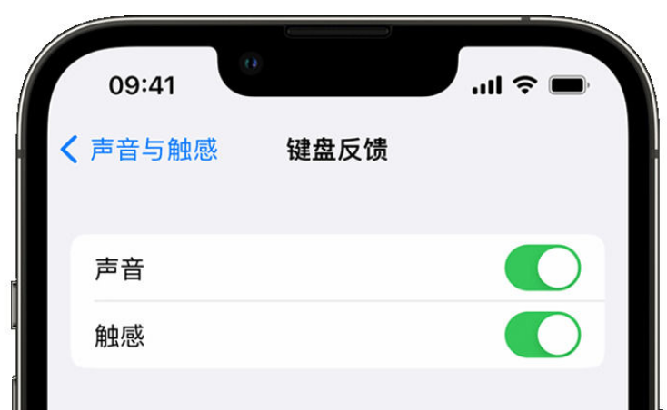 溆浦苹果手机维修分享iPhone 14触感键盘使用方法 