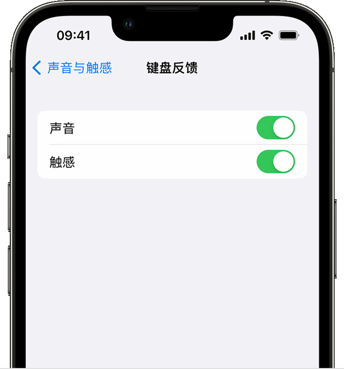 溆浦苹果14维修店分享如何在 iPhone 14 机型中使用触感键盘 