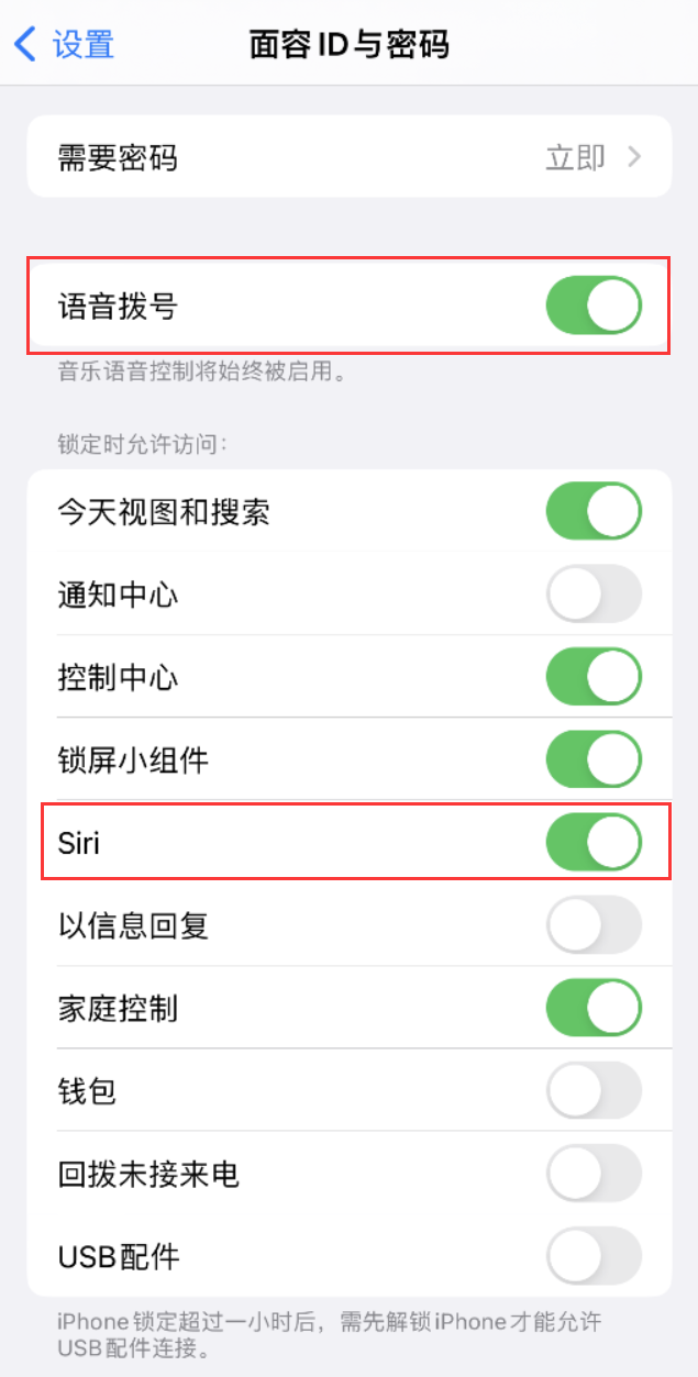 溆浦苹果维修网点分享不解锁 iPhone 的情况下通过 Siri 拨打电话的方法 