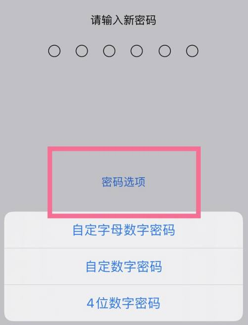 溆浦苹果14维修分享iPhone 14plus设置密码的方法 