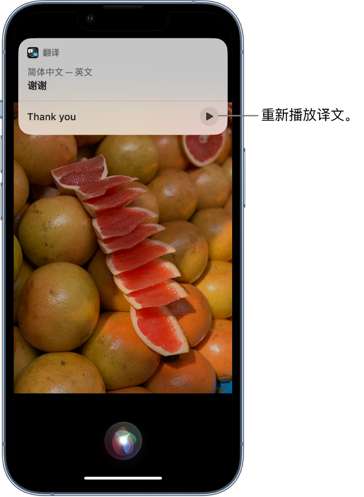 溆浦苹果14维修分享 iPhone 14 机型中使用 Siri：了解 Siri 能帮你做什么 