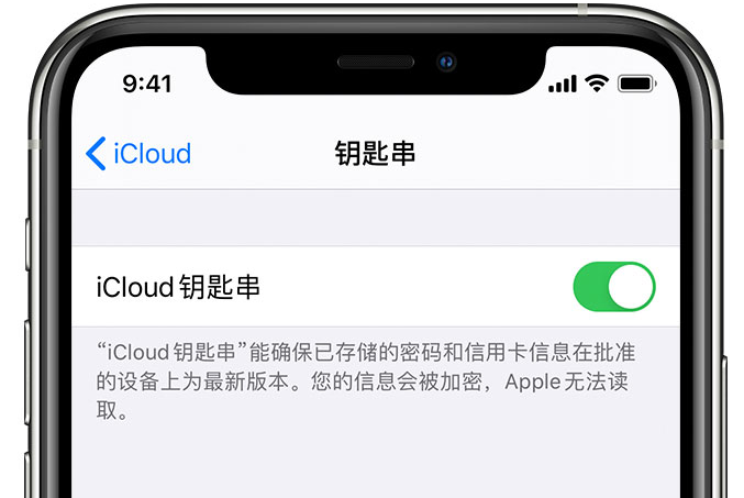 溆浦苹果手机维修分享在 iPhone 上开启 iCloud 钥匙串之后会储存哪些信息 