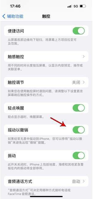 溆浦苹果手机维修分享iPhone手机如何设置摇一摇删除文字 